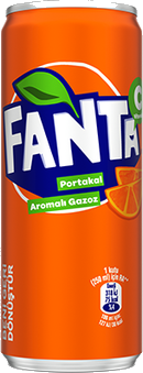 Fanta (33 cl.)